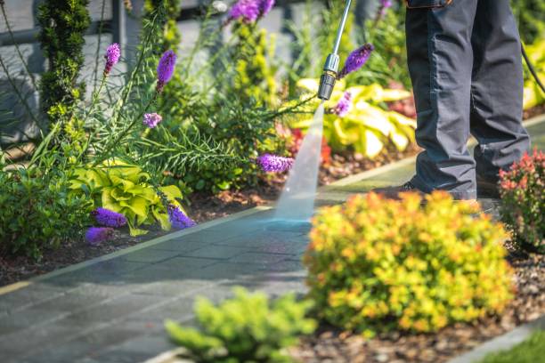 Best Spring Cleaning  in Dallas, OR
